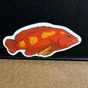 ORANGE GROUPER FISH STICKER